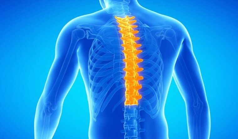 Osteohondroza torakalne kralježnice